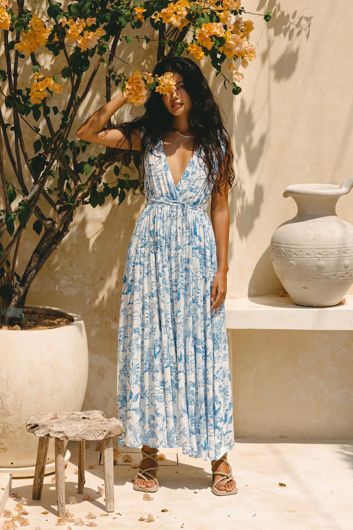Avalon Blue Tropical Toile Maxi Dress – HEYCHIC