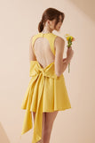 Clara Yellow Corset Mini Dress