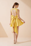 Clara Yellow Corset Mini Dress