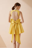 Clara Yellow Corset Mini Dress